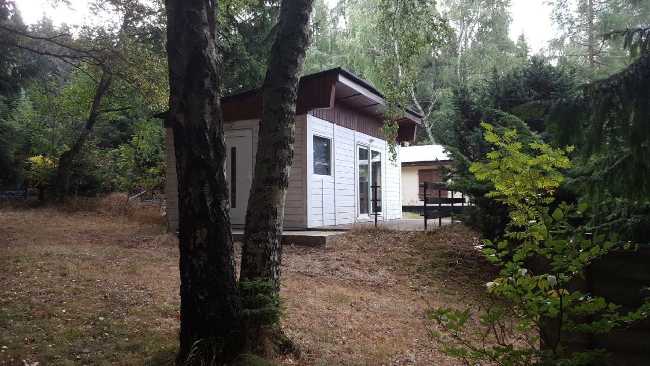 Bungalowdorf Klein Budelsdorf Altenberg Екстер'єр фото